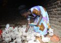 How SAYE Is Expanding Access to Finance and Employment for Young Persons with Disabilities (PWDs)