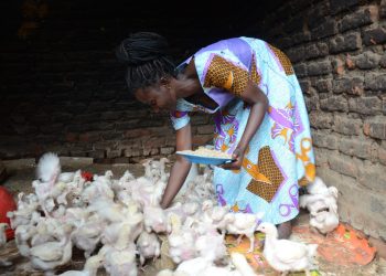 How SAYE Is Expanding Access to Finance and Employment for Young Persons with Disabilities (PWDs)
