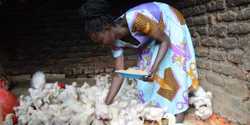 How SAYE Is Expanding Access to Finance and Employment for Young Persons with Disabilities (PWDs)