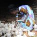 How SAYE Is Expanding Access to Finance and Employment for Young Persons with Disabilities (PWDs)