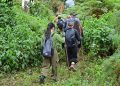 Gorillas, jobs and billions: How Uganda’s mountain gorillas are transforming communities around Bwindi