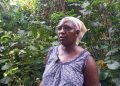 How Agroforestry Is Helping Rwenzori Farmers Cope With Climate Change.
