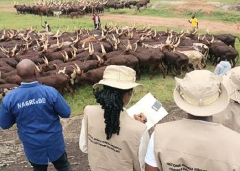 Government won the land case. So why does it control just 10 of 367 acres?