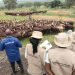 Government won the land case. So why does it control just 10 of 367 acres?