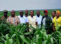 Parliament pushes for bigger NEC farm production