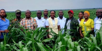 Parliament pushes for bigger NEC farm production