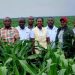 Parliament pushes for bigger NEC farm production