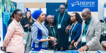 Heifer International Calls for More Climate Finance to Support Africa’s Farmers