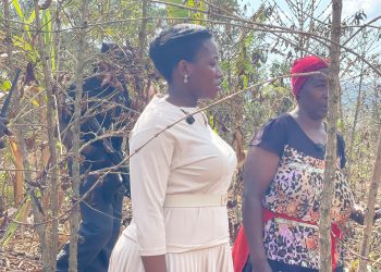 Drought Leaves Masaka City Farmers Counting Losses