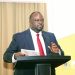 PACEID Boss Bagonza Granted Bail