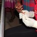 Inside Kimumbasa: A Hidden Kampala Community Where SRHR Services Reach Those Often Left Behind