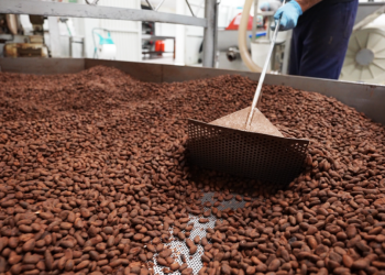 Gen. Salim Saleh Rallies Support for Uganda’s Coffee Industry