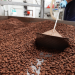 Gen. Salim Saleh Rallies Support for Uganda’s Coffee Industry
