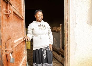 Putting Young Women at the Heart of Uganda’s Coffee Revolution