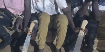 Police arrest 196 suspects in citywide crime crackdown