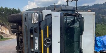 Truck Carrying Fresh Fish Overturns