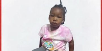 Two-year-old who went missing found dead in a maize plantation