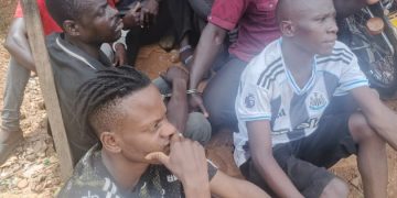 Police arrest more than 300 suspects in festive season crime crackdown
