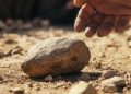 School dispute turns fatal as stone thrown by canteen attendant kills student