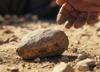 School dispute turns fatal as stone thrown by canteen attendant kills student
