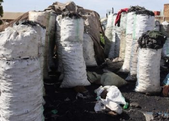 Uganda seizes 275 bags of illegal charcoal as President Museveni’s ban enforcement intensifies
