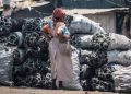 Uganda’s charcoal crackdown hits pause as Speaker Oboth demands answers on affordable energy