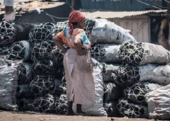 Uganda’s charcoal crackdown hits pause as Speaker Oboth demands answers on affordable energy