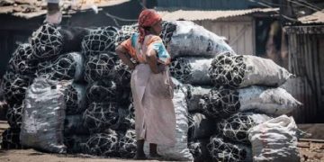 Uganda’s charcoal crackdown hits pause as Speaker Oboth demands answers on affordable energy