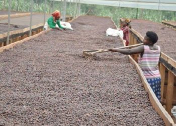 Uganda releases Shs21.8 trillion for second quarter as economic pressures mount