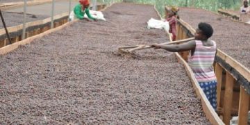 Uganda releases Shs21.8 trillion for second quarter as economic pressures mount