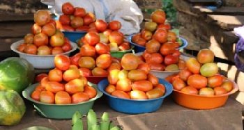 Uganda MPs warn of economic crisis as rising living costs squeeze households