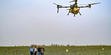 China’s Xinjiang cotton fields nurturing new generation of tech-savvy farmers