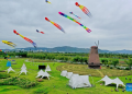 China’s cultural, tourism market thriving during National Day holiday