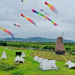 China’s cultural, tourism market thriving during National Day holiday