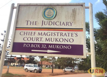 Mbeya Residents Demand Security Protection After Release of Crime Suspect