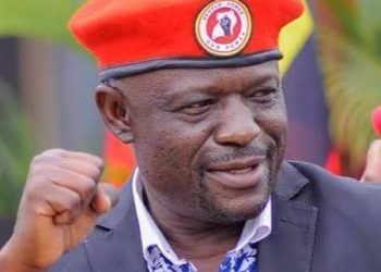 Court Expunges 19 Affidavits in Nyanzi Election Petition
