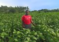 Soybean Farming Opens New Doors for Stella